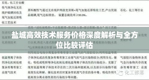 盐城高效技术服务价格深度解析与全方位比较评估