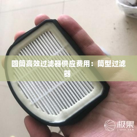 圆筒高效过滤器供应费用：筒型过滤器 