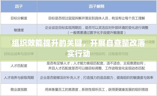 组织效能提升的关键，开展自查整改落实行动