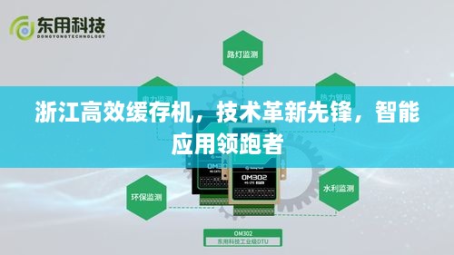 浙江高效缓存机，技术革新先锋，智能应用领跑者