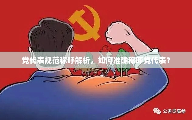 党代表规范称呼解析，如何准确称呼党代表？