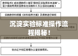 沉淀实验标准操作流程揭秘！