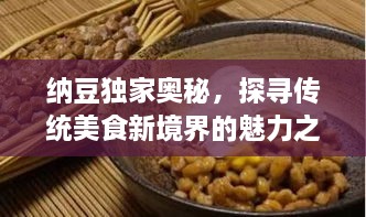 纳豆独家奥秘，探寻传统美食新境界的魅力之旅