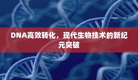 DNA高效转化，现代生物技术的新纪元突破