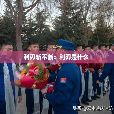 利刃斩不断：利刃是什么 