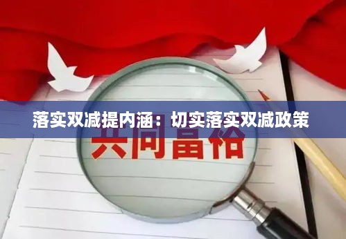 落实双减提内涵：切实落实双减政策 