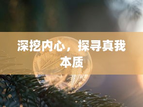 深挖内心，探寻真我本质