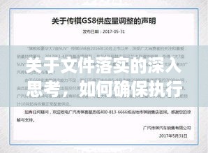 关于文件落实的深入思考，如何确保执行力与效果的双重提升？