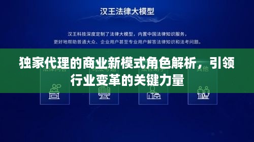 独家代理的商业新模式角色解析，引领行业变革的关键力量