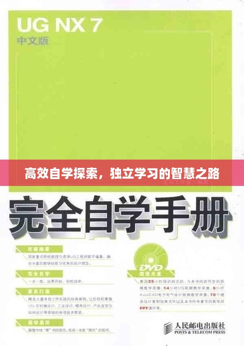 高效自学探索，独立学习的智慧之路