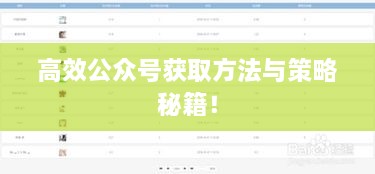 高效公众号获取方法与策略秘籍！