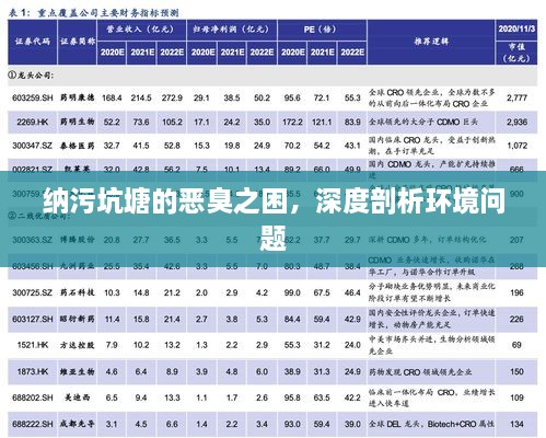 纳污坑塘的恶臭之困，深度剖析环境问题