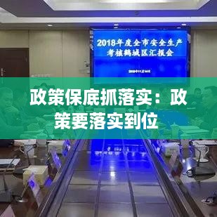 政策保底抓落实：政策要落实到位 