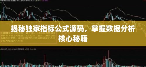 揭秘独家指标公式源码，掌握数据分析核心秘籍