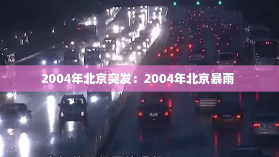 2004年北京突发：2004年北京暴雨 