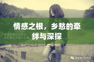 情感之根，乡愁的牵绊与深探