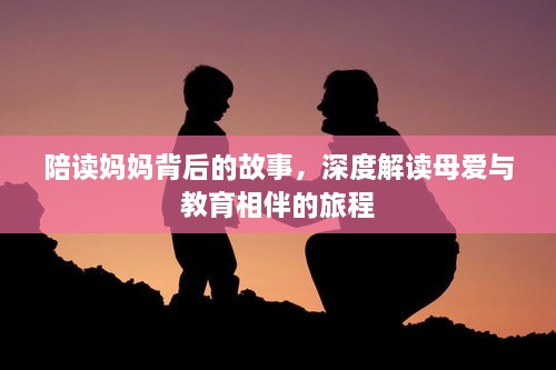 陪读妈妈背后的故事，深度解读母爱与教育相伴的旅程