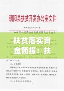 扶贫落实资金简报：扶贫资金落实会议记录 