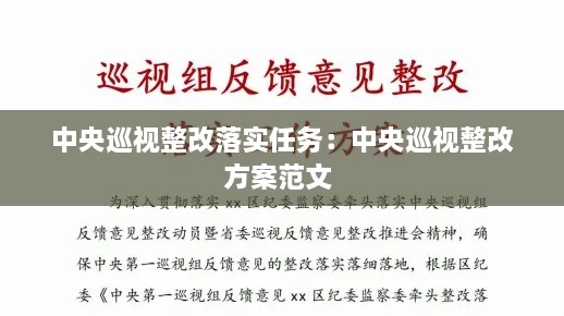 中央巡视整改落实任务：中央巡视整改方案范文 