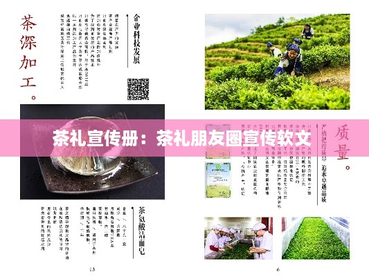 茶礼宣传册：茶礼朋友圈宣传软文 