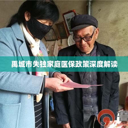 禹城市失独家庭医保政策深度解读