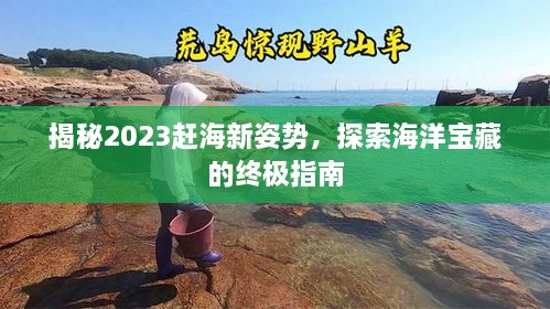 揭秘2023赶海新姿势，探索海洋宝藏的终极指南