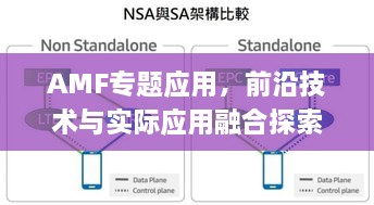 AMF专题应用，前沿技术与实际应用融合探索