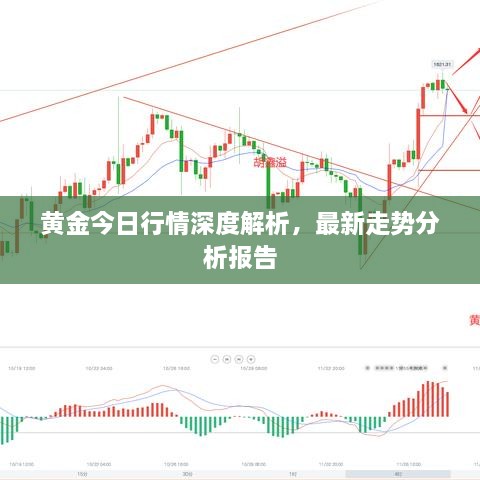 黄金今日行情深度解析，最新走势分析报告