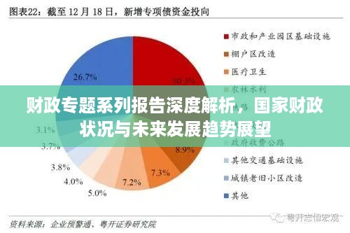 财政专题系列报告深度解析，国家财政状况与未来发展趋势展望