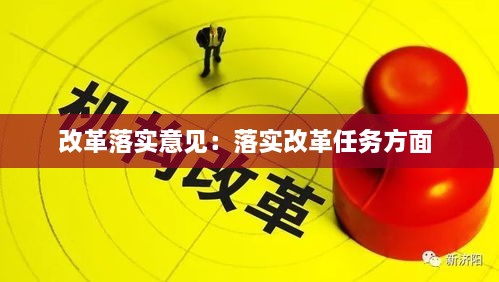 改革落实意见：落实改革任务方面 