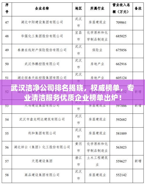 武汉洁净公司排名揭晓，权威榜单，专业清洁服务优质企业榜单出炉！