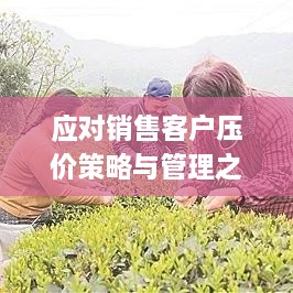 应对销售客户压价策略与管理之道