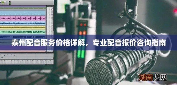 泰州配音服务价格详解，专业配音报价咨询指南