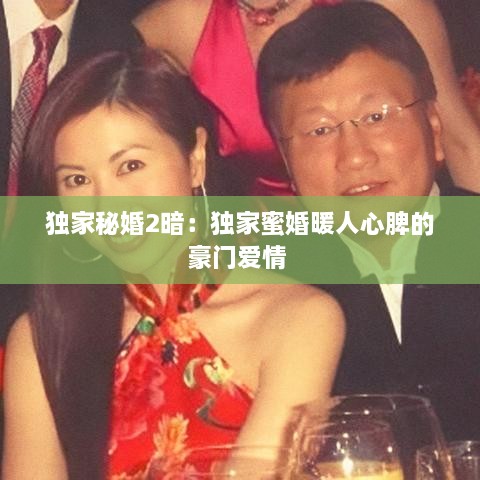 独家秘婚2暗：独家蜜婚暖人心脾的豪门爱情 