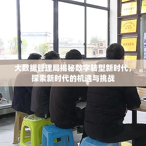 大数据管理局揭秘数字转型新时代，探索新时代的机遇与挑战