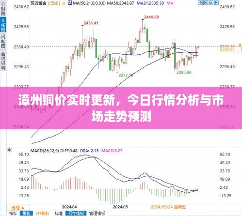 漳州铜价实时更新，今日行情分析与市场走势预测