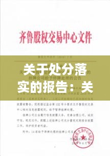 关于处分落实的报告：关于给予处分的报告 