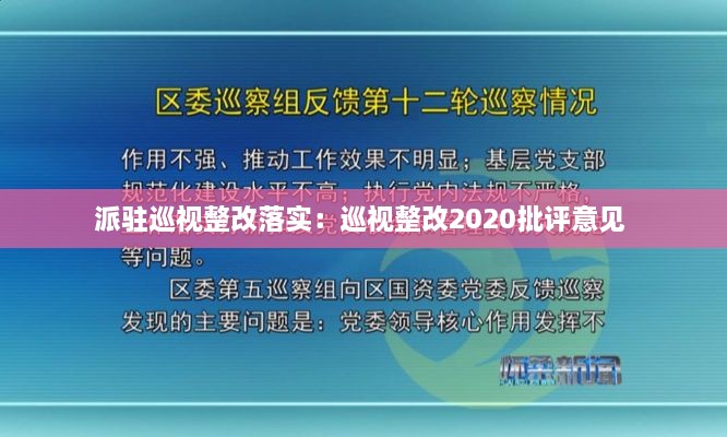 派驻巡视整改落实：巡视整改2020批评意见 