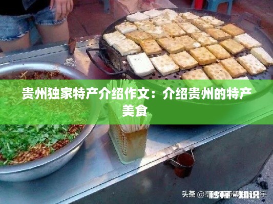 贵州独家特产介绍作文：介绍贵州的特产美食 