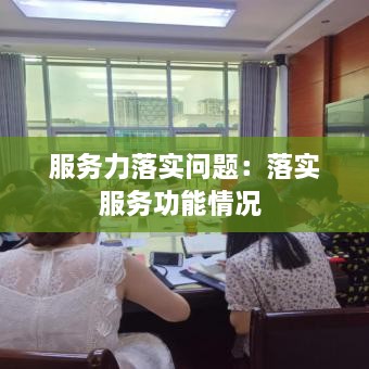 服务力落实问题：落实服务功能情况 