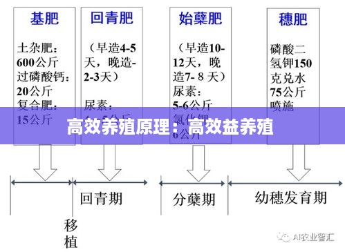 高效养殖原理：高效益养殖 