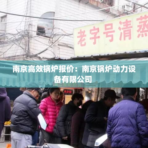 南京高效锅炉报价：南京锅炉动力设备有限公司 