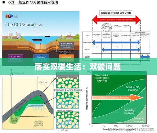 落实双碳生活：双碳问题 