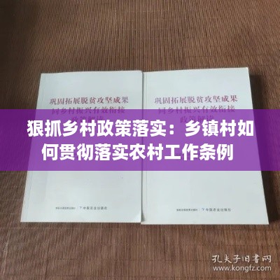 狠抓乡村政策落实：乡镇村如何贯彻落实农村工作条例 