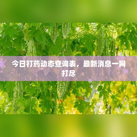 今日打药动态查询表，最新消息一网打尽