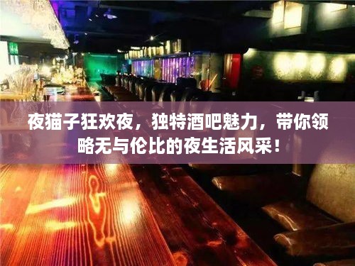 夜猫子狂欢夜，独特酒吧魅力，带你领略无与伦比的夜生活风采！