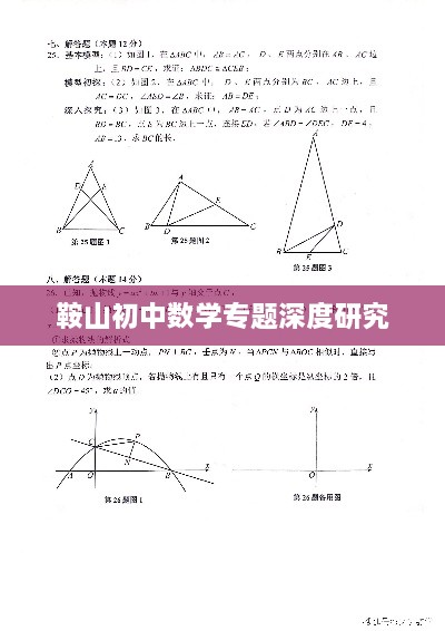 鞍山初中数学专题深度研究