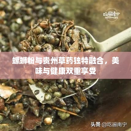 螺蛳粉与贵州草药独特融合，美味与健康双重享受