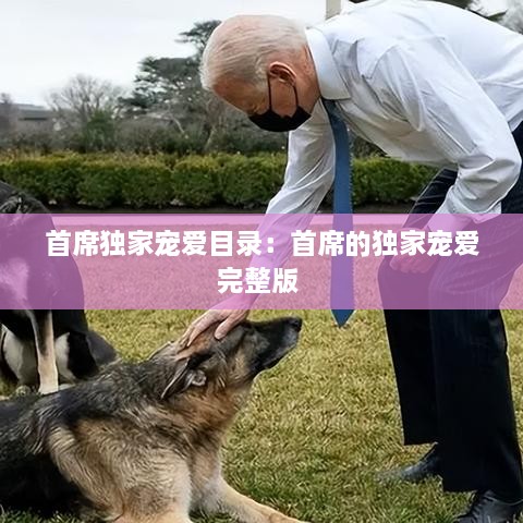 首席独家宠爱目录：首席的独家宠爱完整版 