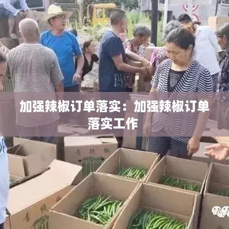 加强辣椒订单落实：加强辣椒订单落实工作 